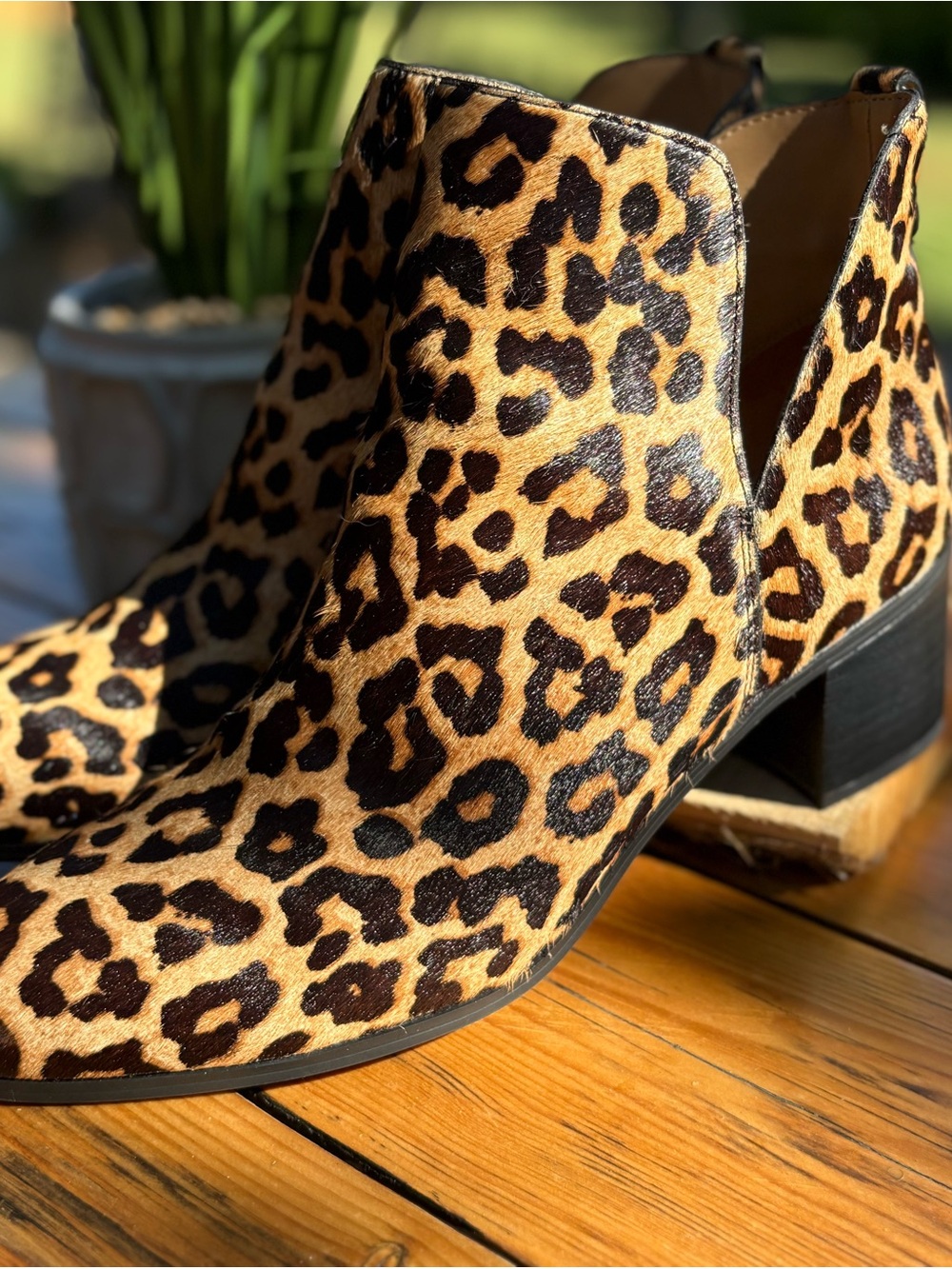 Franco Sarto Leopard-Print Ankle Booties in Tan and Black